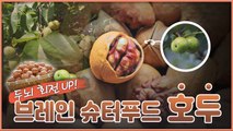 산이 주는 보물, 우리 임산물 숲푸드 – 13편 호두 / YTN