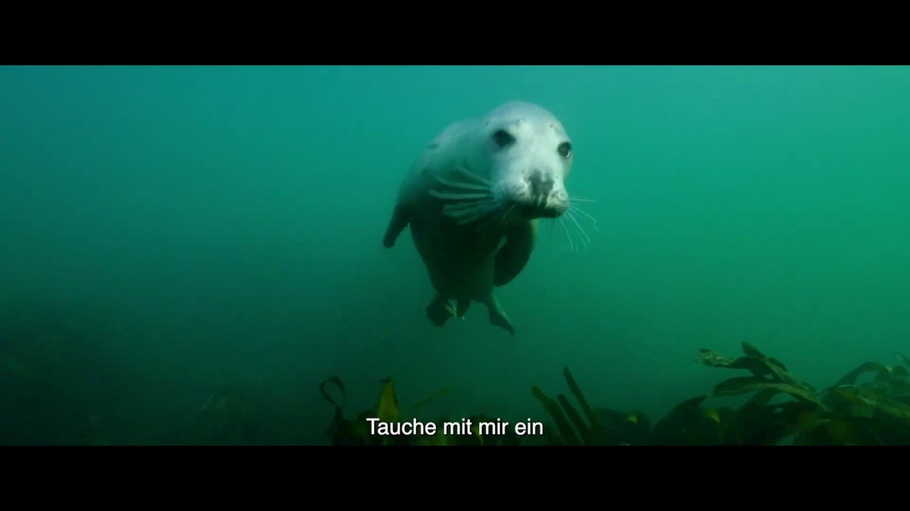 Die wilde Nordsee - Trailer (Deutsche UT) HD