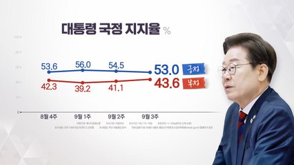 리얼미터 여론조사 [앵커리포트] / YTN