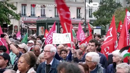 Miles de personas marchan en París para el reconocimiento del Estado palestino