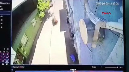 Bursa'da sokak ortasında dehşeti yaşadı