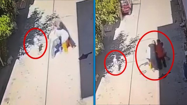 Kucağında çocuğuyla yürüyen anneyi 3 kadının darbettiği anlar kamerada