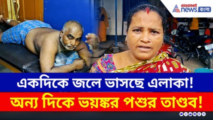 বন্যার মধ্যেই মালদায় হিংস্র পশুর তাণ্ডব! এলাকায় ব্যাপক আতঙ্ক, আহত ৫