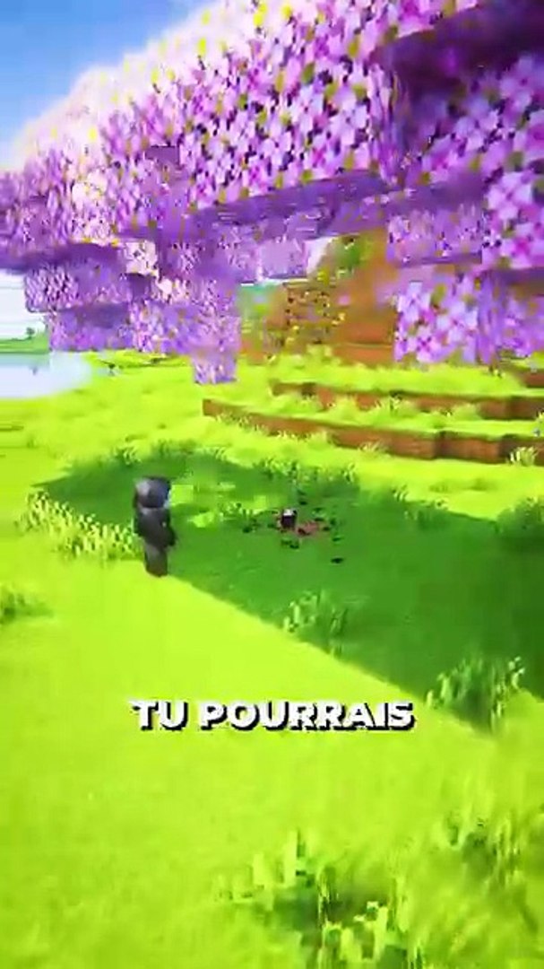 ⁣😎 rejoins le Discord dans ma bio #minecraft #mast