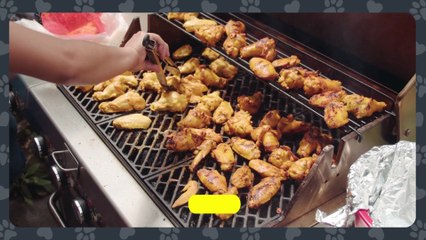 🐶 5 Foods You Should NEVER Feed Your Dog