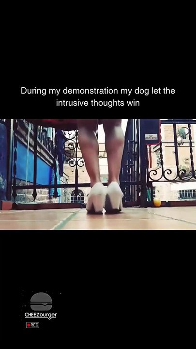 Tomorrow's another chance