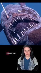 This sea devil angler fish swam far from home 🥺 #cheezburger #seadevil #anglerfish