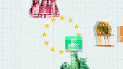 В мире стали позднее заводить детей и раньше - собак