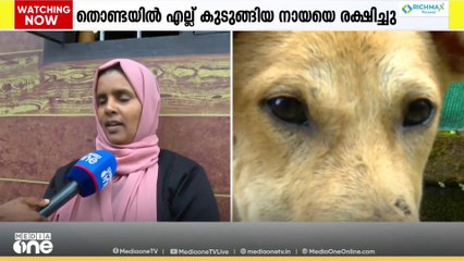 'നായിനെ തൊടാന്‍ പറ്റില്ലെന്ന കാര്യം ഞാന്‍ അപ്പോള്‍ നോക്കിയില്ല'