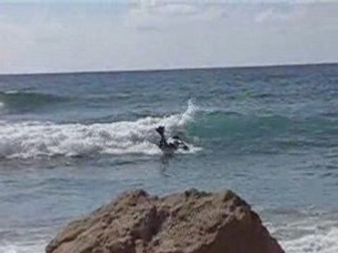 Spin 360 à Lacanau Bodyboard - Humanoïde Team