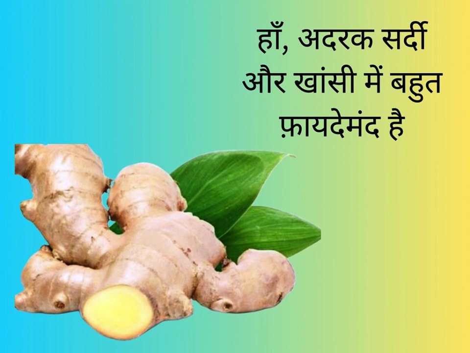 क्या अदरक सर्दी और खांसी से राहत दिलाने में कारगर है ?