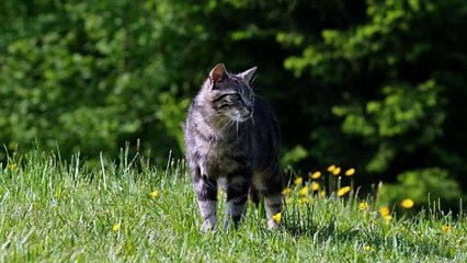 Our nature is Our future.