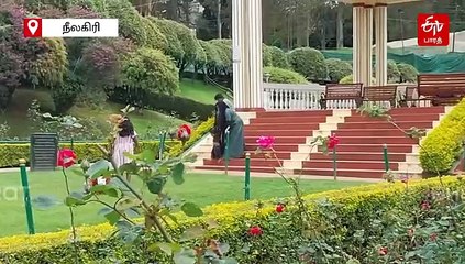 இன்று உலக ரோஜா தினம்! உதகையில் குவிந்த சுற்றுலாப் பயணிகள்!