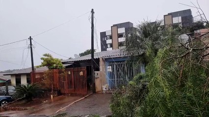 Moradores do Brasmadeira cobram luz após árvore derrubar postes e fios
