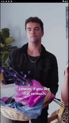 [Hot 2025] Alpha Mate sin ataduras Full Movie