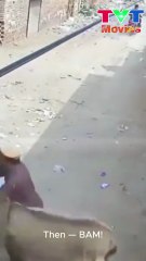 Tưởng lừa hiền, ai ngờ đá bay luôn niềm tin 😵😂