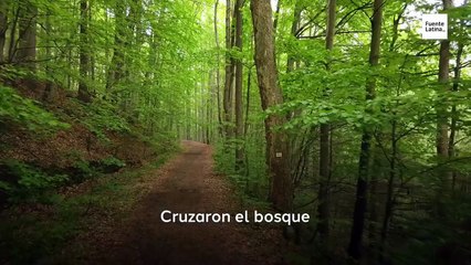 Un mimo salvo a niños judíos | La historia de Marcel Marceau