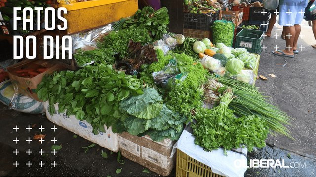 Apesar de quedas recentes, alta acumulada nos preços de verduras e legumes ainda supera a inflação em Belém