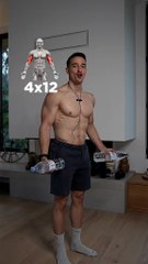 Best home workout to build muscle and lose weight ! 🔥