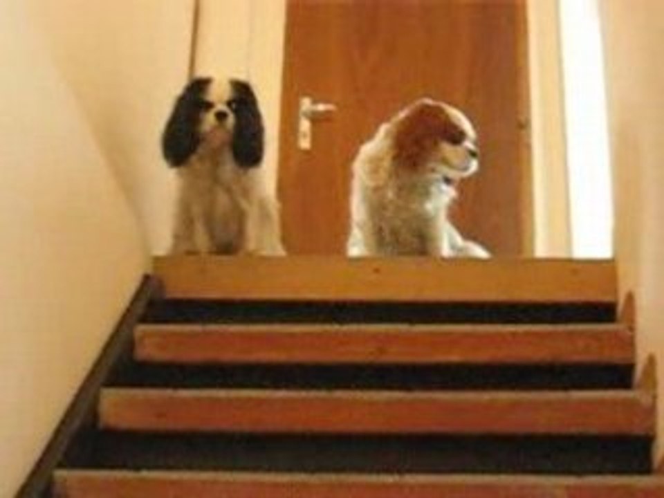 Quand Maman part travailler...