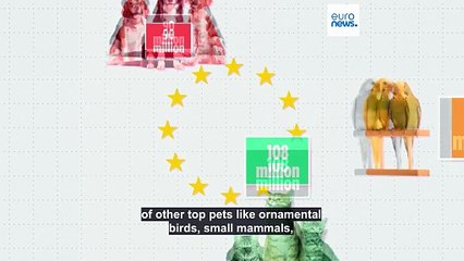 Pet dogs: Where in the EU is man's best friend most popular?