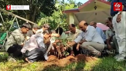 নিজে ৰোৱা চন্দনৰ সুবাসত পঞ্চভূতত বিলীন হ'ব প্ৰকৃতিপ্ৰেমী জুবিন