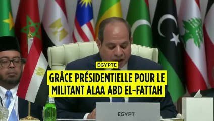 Égypte : le militant Alaa Abdel Fattah obtient la grâce présidentielle