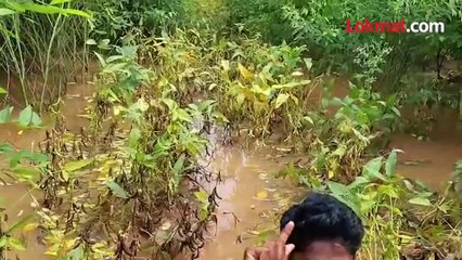 शेतकरी पाण्यात बसला, तळतळून बोलला... बळीराजाची परिस्थिती ऐकाच...