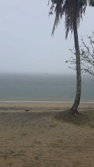 the One Piece is real 😭