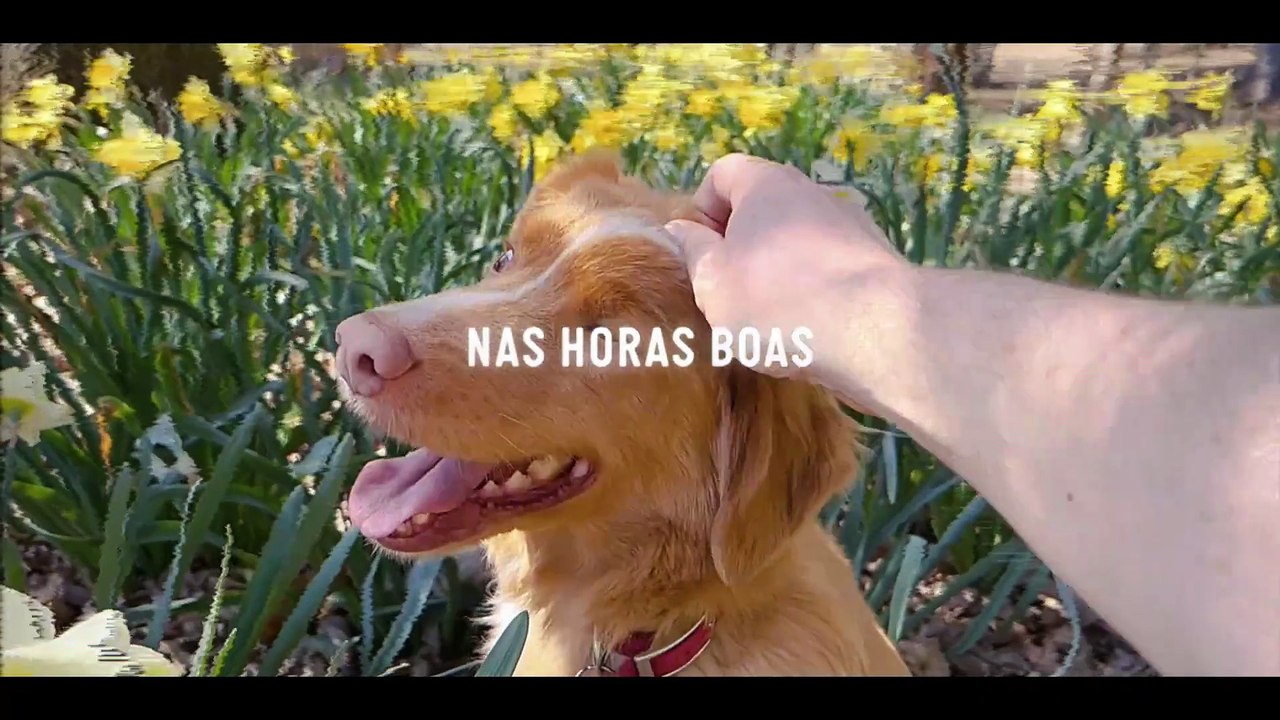 Bom Menino Trailer Legendado