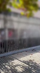 Manifestación en La Vila Joiosa contra la Generalitat por el calor extremo y la falta de ventiladores