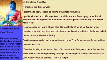 x9 Sanskrit Akshobhya Buddha Vajra Dharani (Mantra) For Meat Blessing, Bad Karma, Better Rebirth