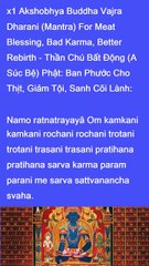 Sanskrit Akshobhya Buddha Vajra Dharani   Mantra For Meat Blessing Bad Karma Better Rebirth