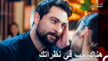 أريد أن أشاهدك طوال اليوم - التفاح الحرام