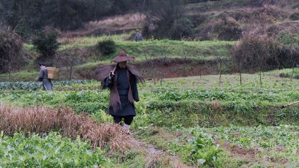 ĐẠI TẦN PHÚ - TẬP 63 - VTV3 THUYẾT MINH - PHIM TRUNG QUỐC – DAI TAN PHU