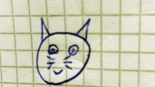 Disegno 20