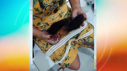 Invasão domiciliar e agressão física a funcionária pública no Cabo de Santo Agostinho: um caso estudo