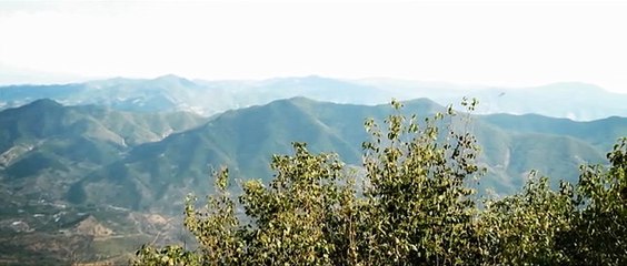 Documental De Tesoros Malditos: el Ejrcito de terracota y el busto de Nefertiti