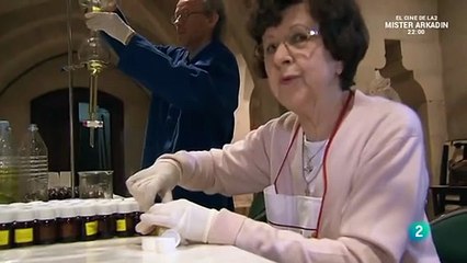 Dentro de Notre Dame: Secretos Revelados