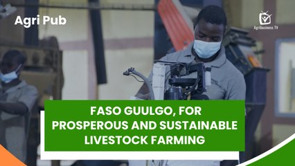 Agri Pub: Faso Guulgo, for prosperous and sustainable livestock farming