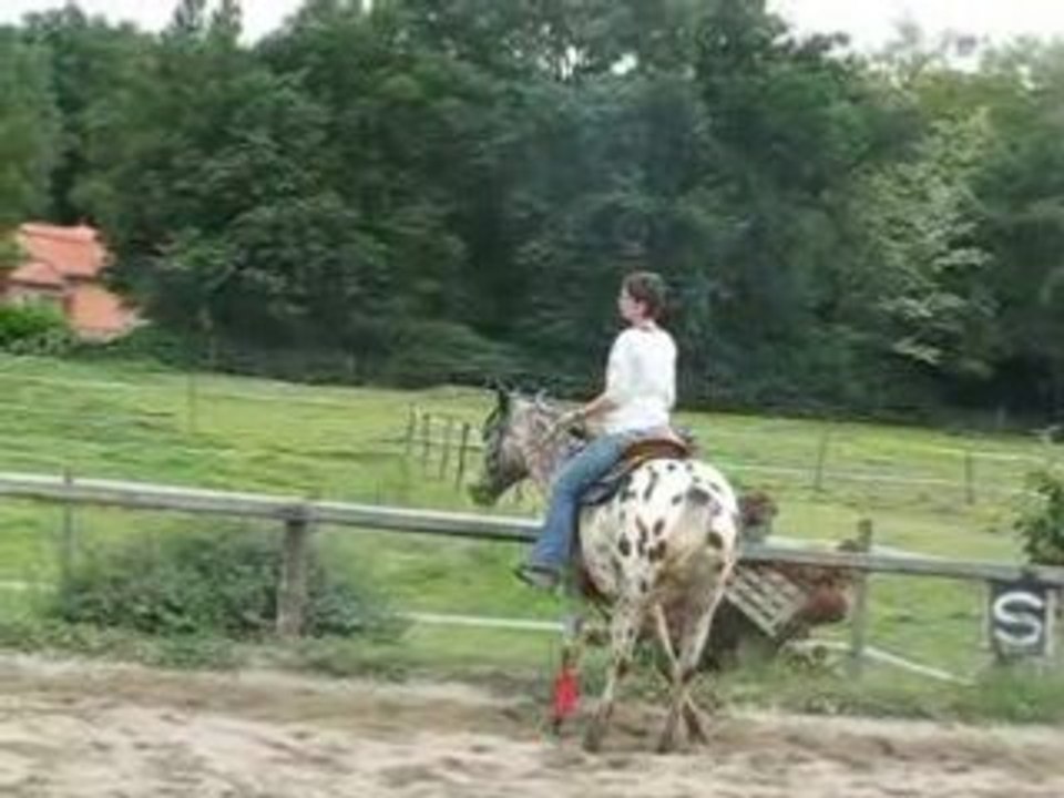 Monkop western
