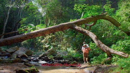 Lost in the Woods Ep 4