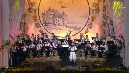 Ioan Valeriu Nae - Festivalul National „Strugurele de aur” - Blaj - 04.09.2025