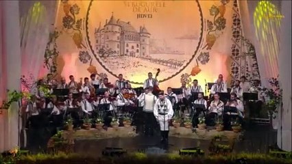 Vasile Raul Balogh - Festivalul National „Strugurele de aur” - Blaj - 04.09.2025
