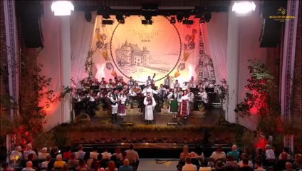 Alexandru Pop Zarandean - Recital Festivalul National „Strugurele de aur” - Blaj - 04.09.2025