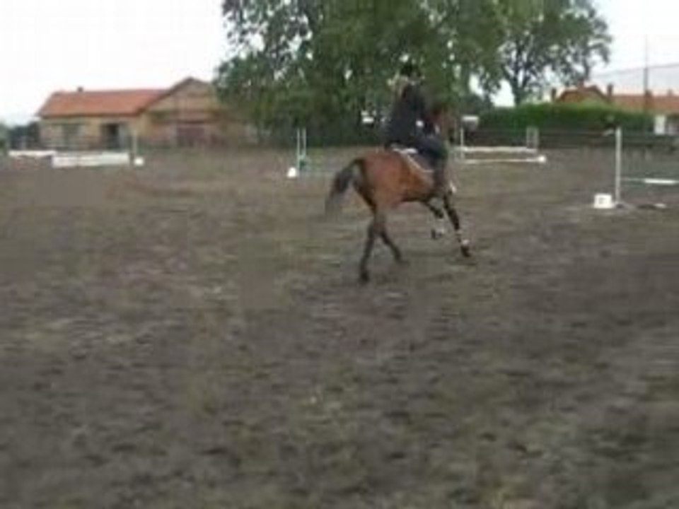 CIMG0848