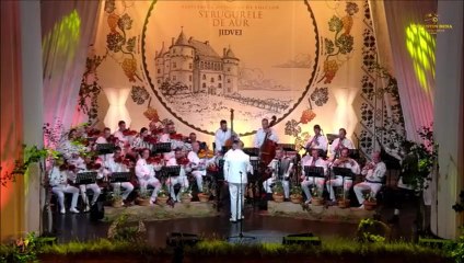Tudor Virciu - In recital Festivalul National „Strugurele de aur” - Blaj - 04.09.2025