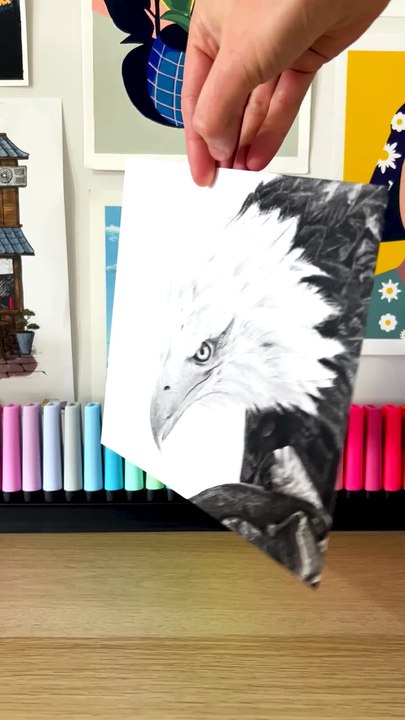 Dessin réaliste d'un aigle réalisé à la pierre noire #dessin #art #drawing