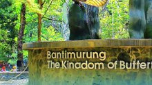 7 Fakta Penting Taman Nasional Bantimurung Bulusaraung