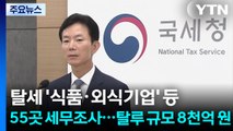 탈세 '식품·외식기업' 등 55곳 세무조사...탈루 규모 8천억 원 / YTN